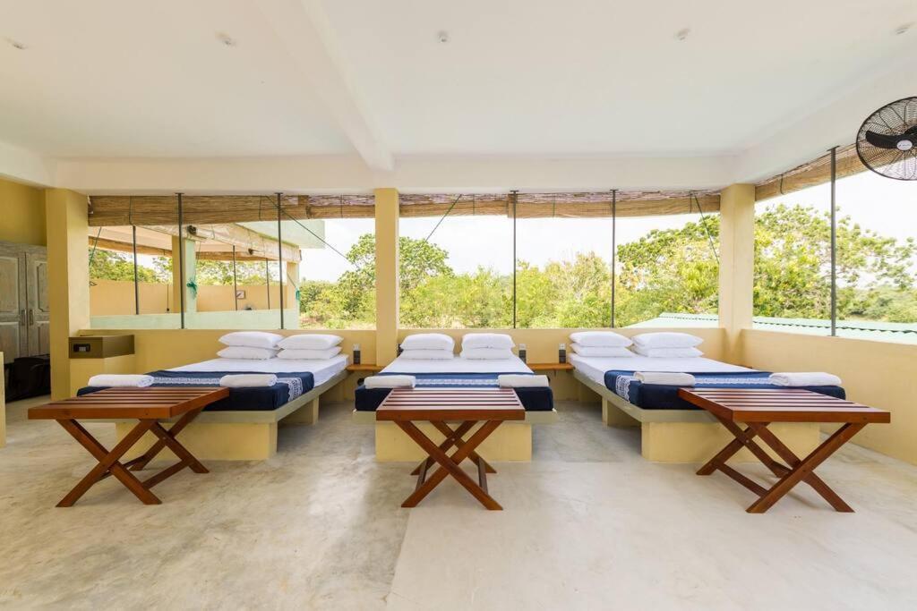 Forestville Yala Exterior photo