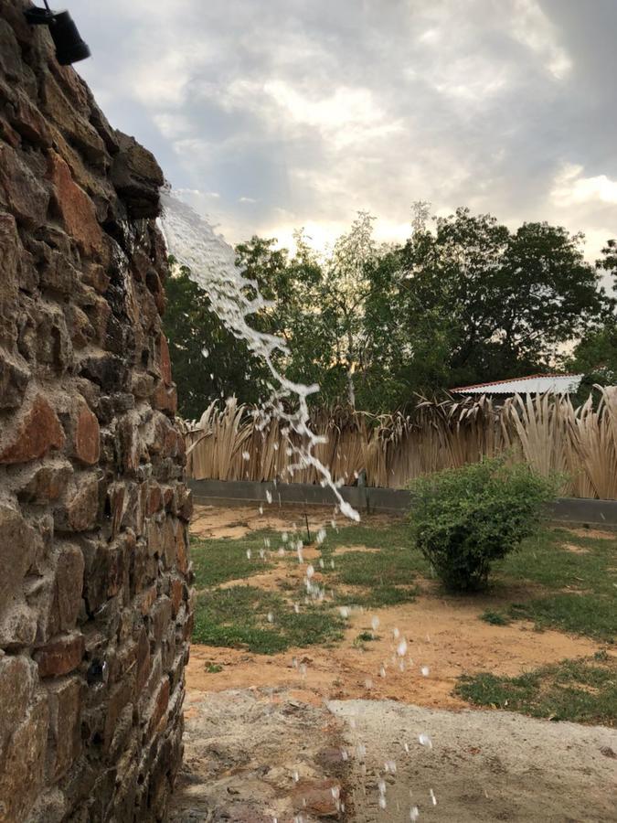 Forestville Yala Exterior photo
