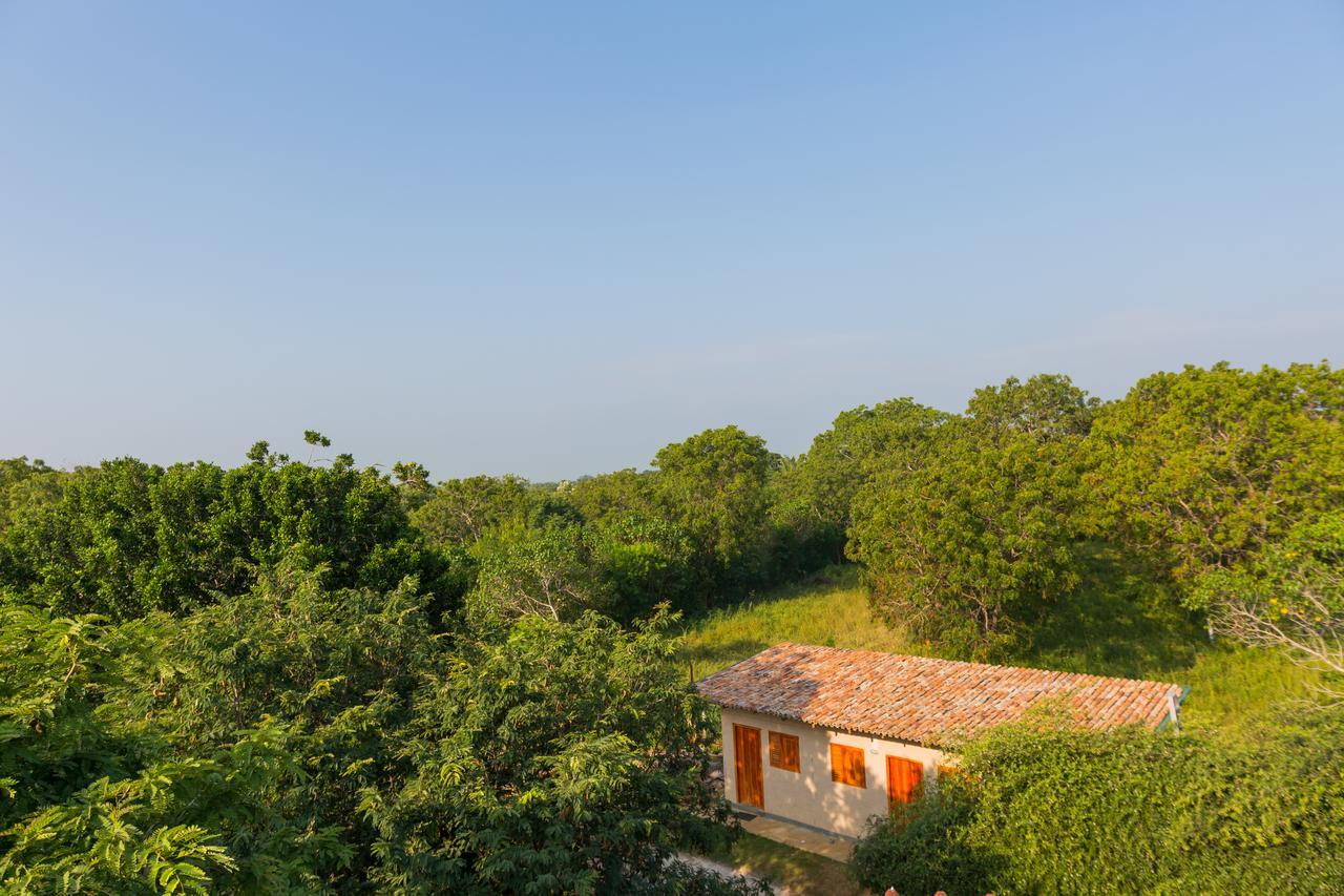 Forestville Yala Exterior photo